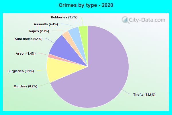 Crimes by type - 2020