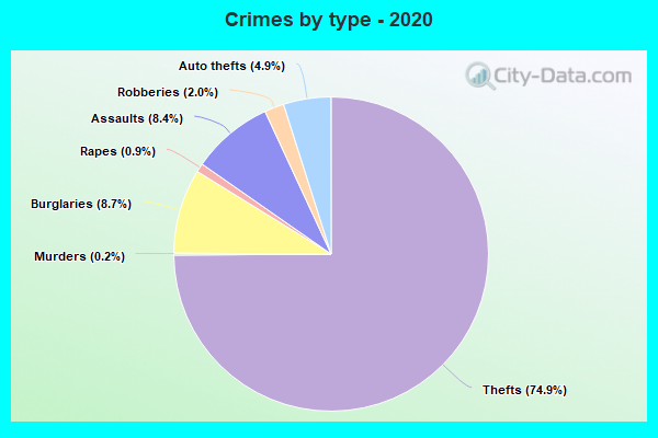 Crimes by type - 2020