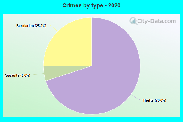 Crimes by type - 2020