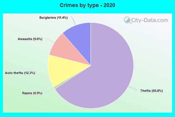 Crimes by type - 2020