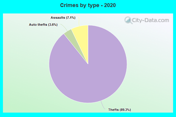 Crimes by type - 2020