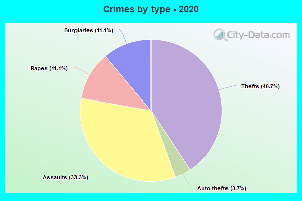 Crimes by type - 2020