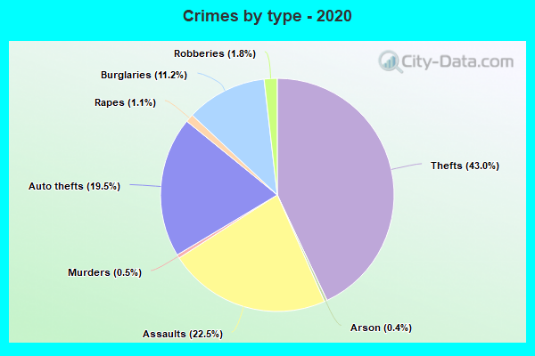 Crimes by type - 2020