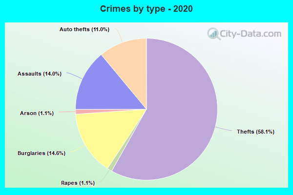 Crimes by type - 2020