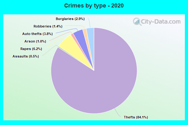 Crimes by type - 2020