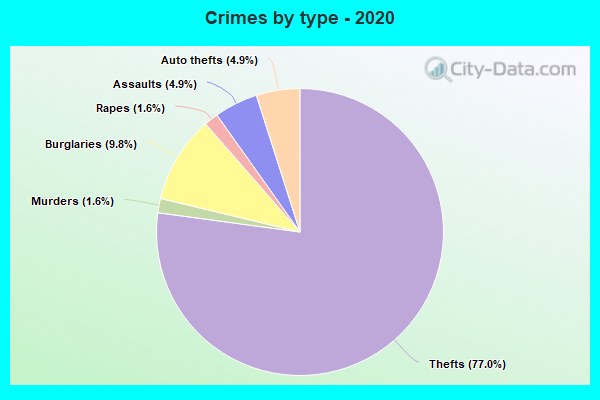 Crimes by type - 2020