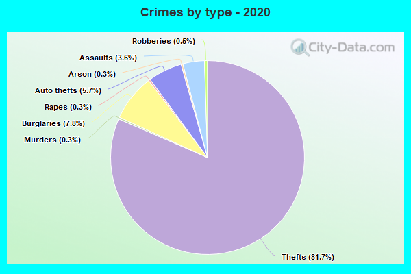 Crimes by type - 2020