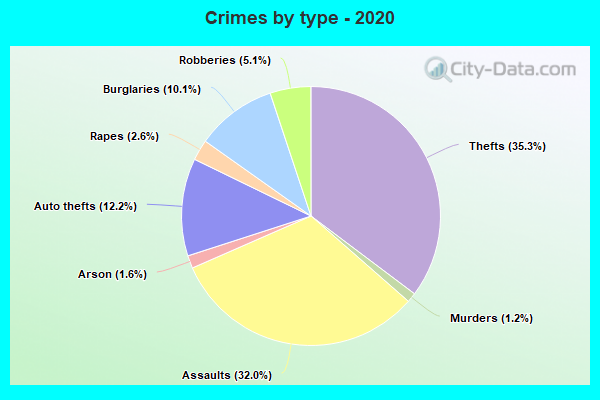 Crimes by type - 2020