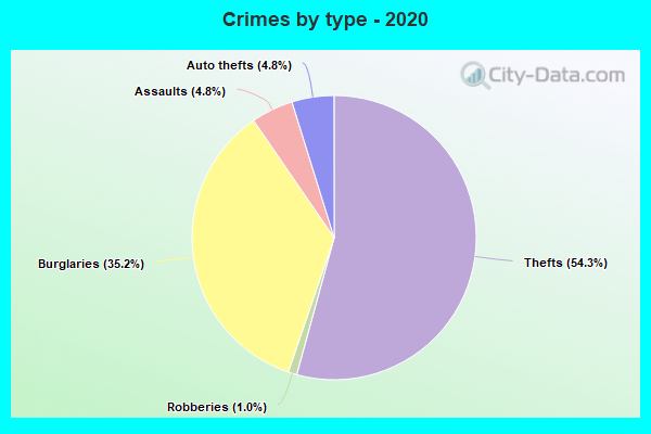 Crimes by type - 2020