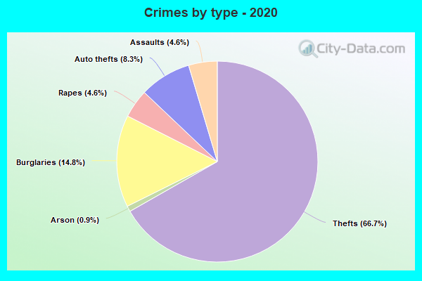 Crimes by type - 2020