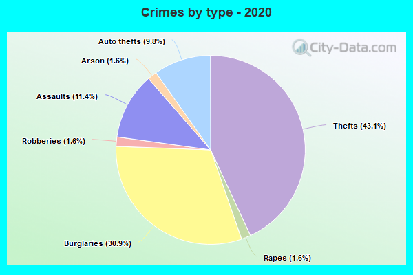 Crimes by type - 2020