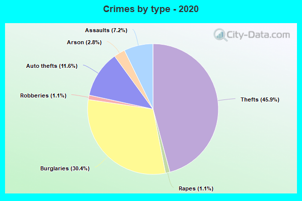 Crimes by type - 2020