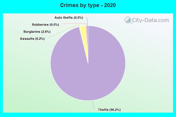 Crimes by type - 2020