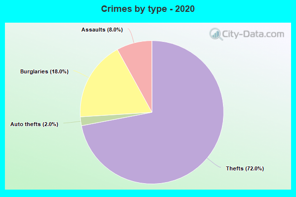 Crimes by type - 2020