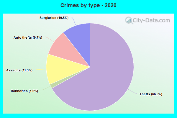 Crimes by type - 2020