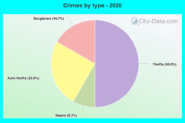 Crimes by type - 2020