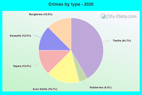 Crimes by type - 2020