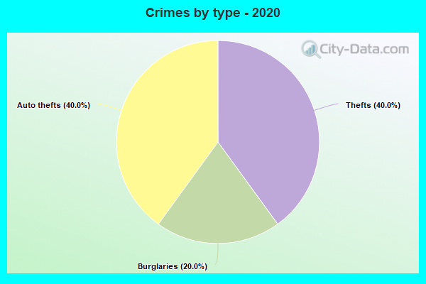 Crimes by type - 2020