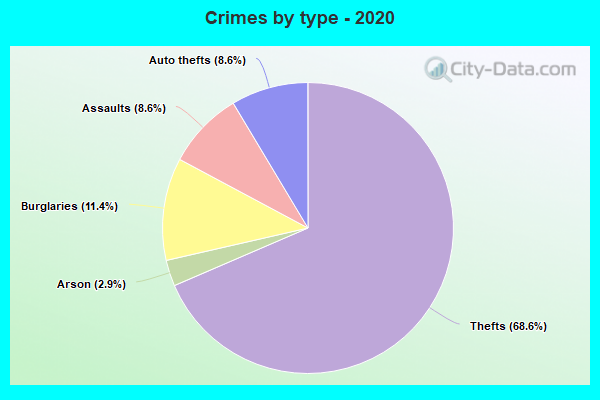 Crimes by type - 2020