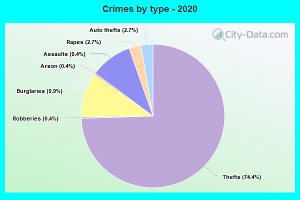 Crimes by type - 2020