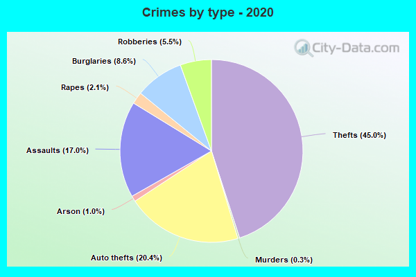 Crimes by type - 2020