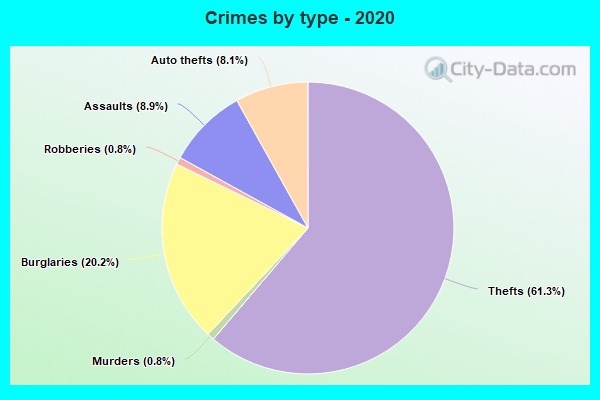 Crimes by type - 2020