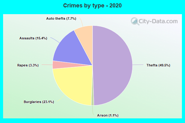 Crimes by type - 2020