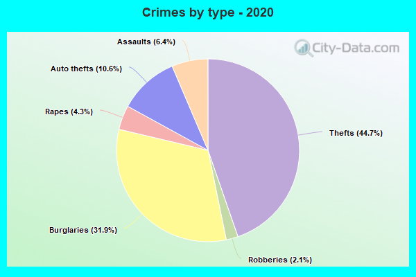 Crimes by type - 2020