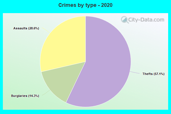 Crimes by type - 2020