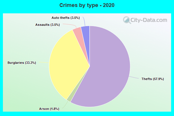 Crimes by type - 2020