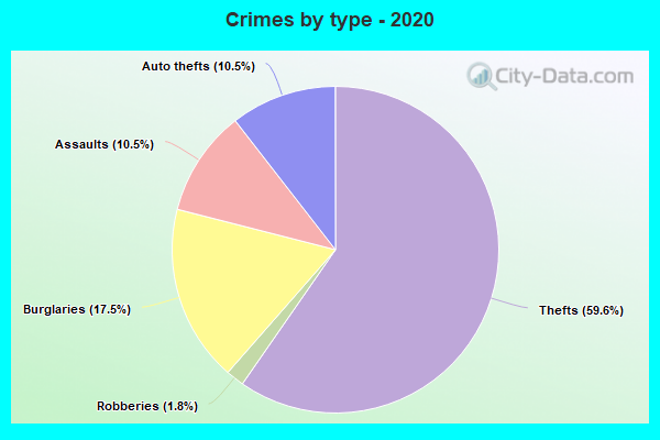 Crimes by type - 2020