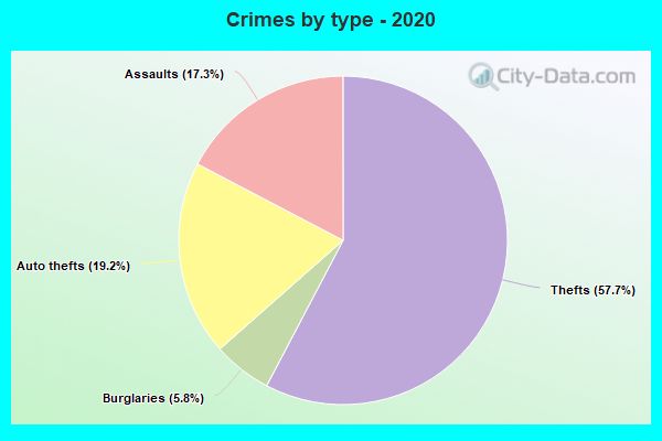 Crimes by type - 2020