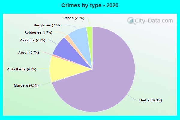 Crimes by type - 2020