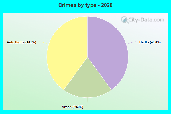 Crimes by type - 2020