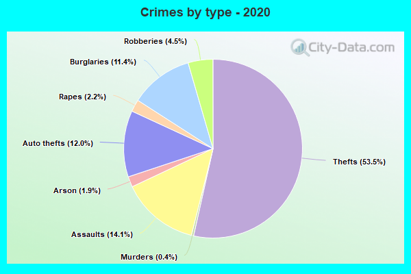 Crimes by type - 2020