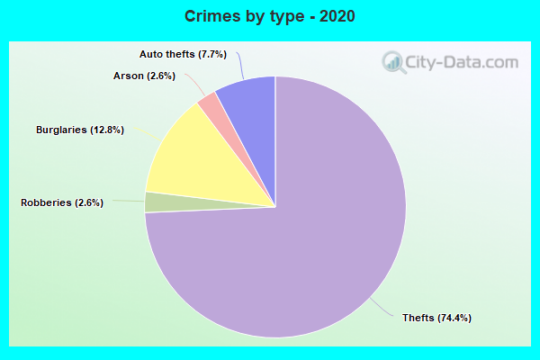 Crimes by type - 2020