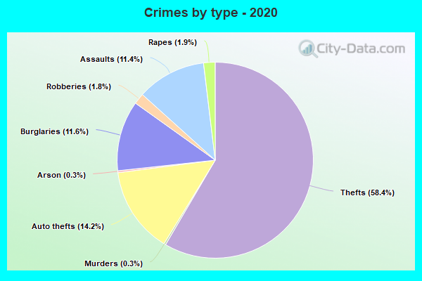 Crimes by type - 2020