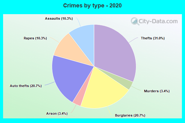 Crimes by type - 2020