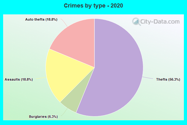 Crimes by type - 2020