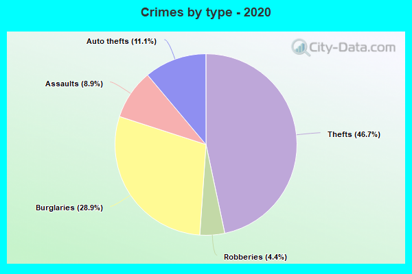 Crimes by type - 2020