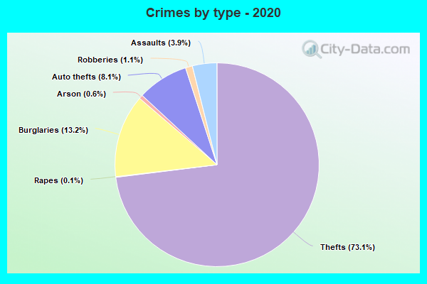 Crimes by type - 2020