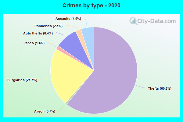 Crimes by type - 2020