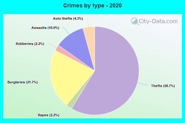 Crimes by type - 2020