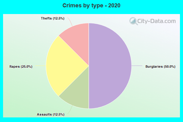 Crimes by type - 2020