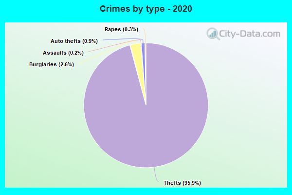 Crimes by type - 2020