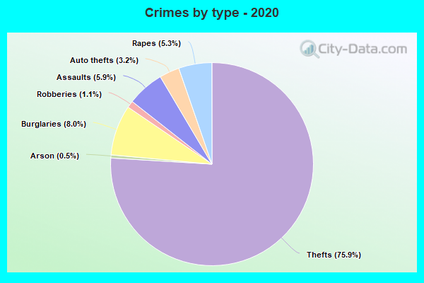 Crimes by type - 2020