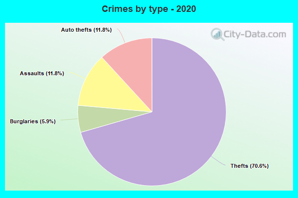 Crimes by type - 2020