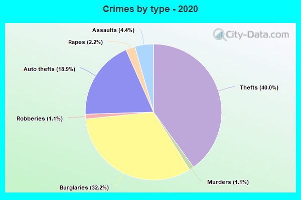 Crimes by type - 2020