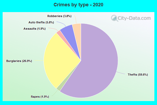 Crimes by type - 2020