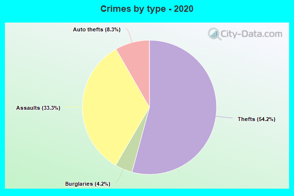 Crimes by type - 2020